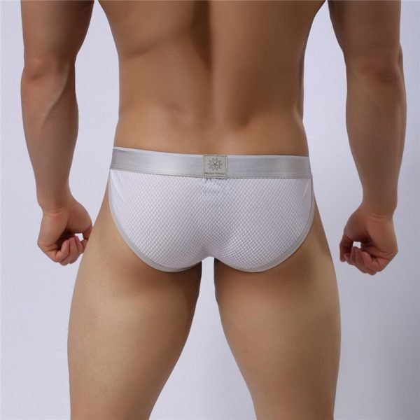 Men’s Silver Net Brief - Image 14